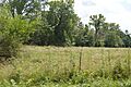 John Roy Site from north