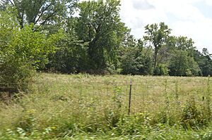 John Roy Site from north