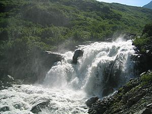 Klehini falls