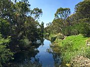 Kororoit Creek, Sunshine - looking downstream