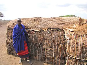 Maasai shelter