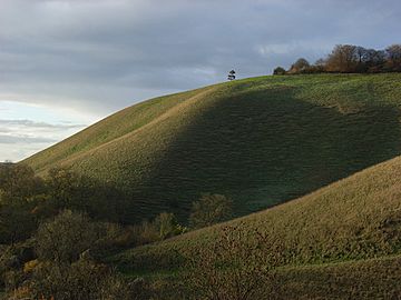 Martinsell Hill - geograph.org.uk - 282532.jpg