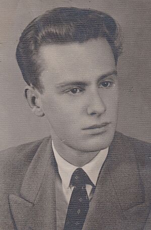 Maurizio Calvesi
