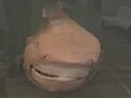 Megamouth shark japan2