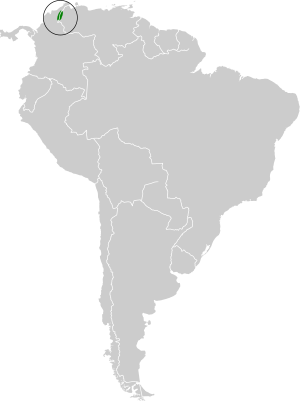 Metallura iracunda map.svg
