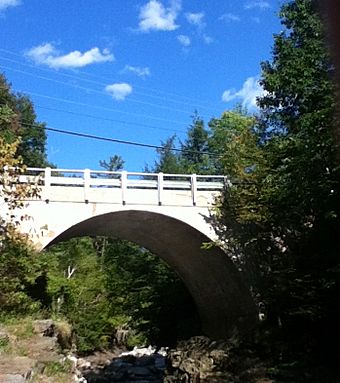 Middlebury Gorge Concrete Arch Bridge from the south.jpg