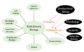 Modern Synthesis Limits