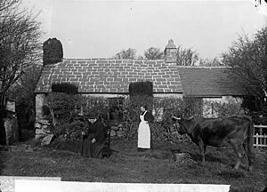 Mother and Home of John Jones (Myrddin Fardd), Llanbedrog NLW3364584