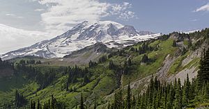 Mt Rainier Panorama from the south