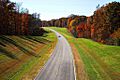 Natchz Trace 3
