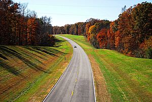 Natchz Trace 3