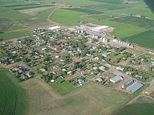 Photo of Newdale from above, facing south-west