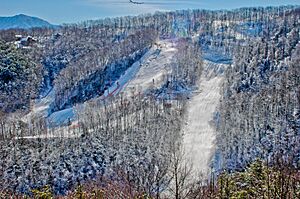 Ober trails