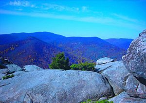 Old rag view2