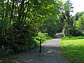 Path, Carnfunnock Country Park (1) - geograph.org.uk - 797976