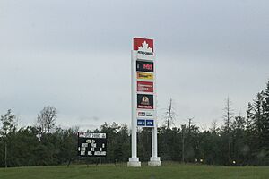 Petro Canada Sign in Beaver Crossing.jpg