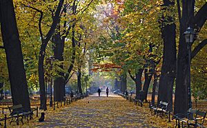 Planty Park, autumn, Old Town, Krakow, Poland