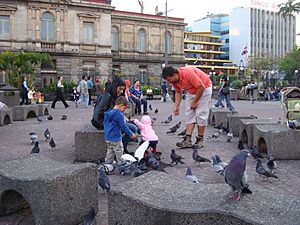 Plaza de la Central Costa Rica