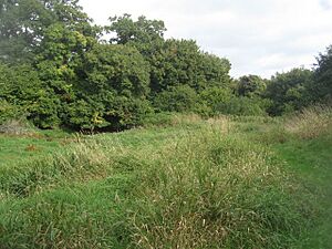 Popley Ponds LNR (geograph 3692124)