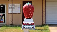 Poteet Texas Strawberry Landmark