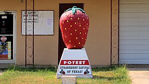Poteet Texas Strawberry Landmark