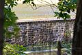 Princeton Ice Company upper dam (1902)