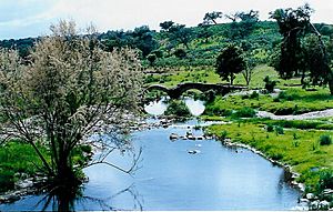 Puente romano en sierra de Cabezas Rubias.jpg