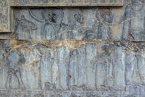 Reliefs in Persepolis نگاره های تخت جمشید 05