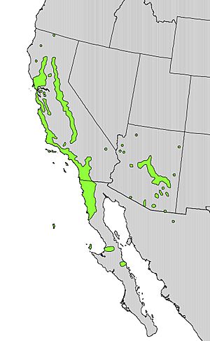 Rhamnus crocea range map.jpg