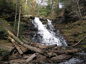 Ricketts Glen State Park F.L. Ricketts Falls 6