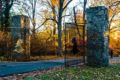 Ringwood Manor Gate