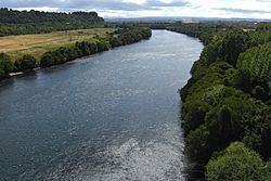 River near Valdivia (3144427102)
