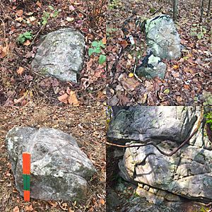 Rock Carvings from Bear Spirit Mountain West Virginia Dating Pleistocene epoch