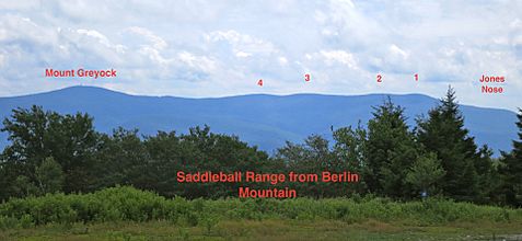 Saddleball profile 2