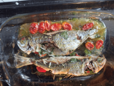 Salema porgy as food 003