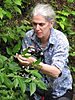 Sandy Knapp collecting Solanum sinuatiexcisum - TS 2012.jpg