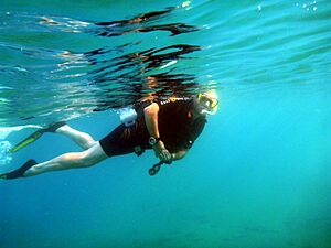 Scuba Diver Snorkeling