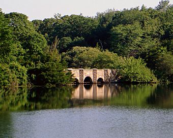 Setauketmillpond.JPG