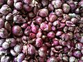 Shallot (Sambar Onion) (2)