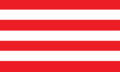 Sindh National Front Flag