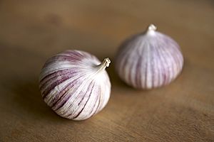 Single clove garlic.jpg