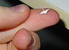 Smallcrane