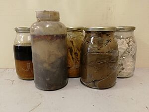 Soapstock and exausted bleanched earth from oil refining process
