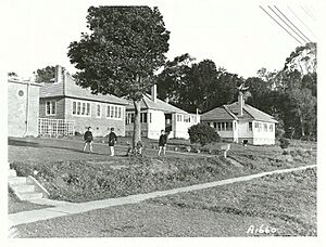 State Housing, Mt. Roskill, Auckland (FL25782253)