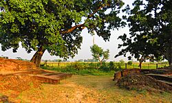 Suddhodana Palace-east gate