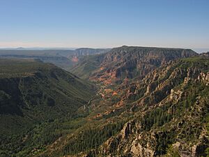 Sycamore Canyon from Barney Pasture