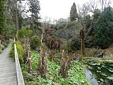 The Lost Gardens of Heligan - geograph.org.uk - 1328024