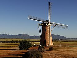 The Lily windmill