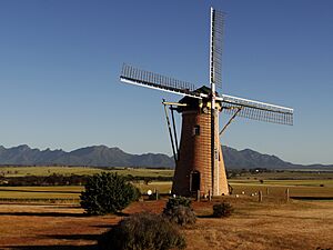 The lily windmill