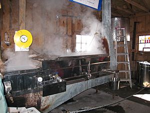 The modern way of boiling the syrup (2376315226)